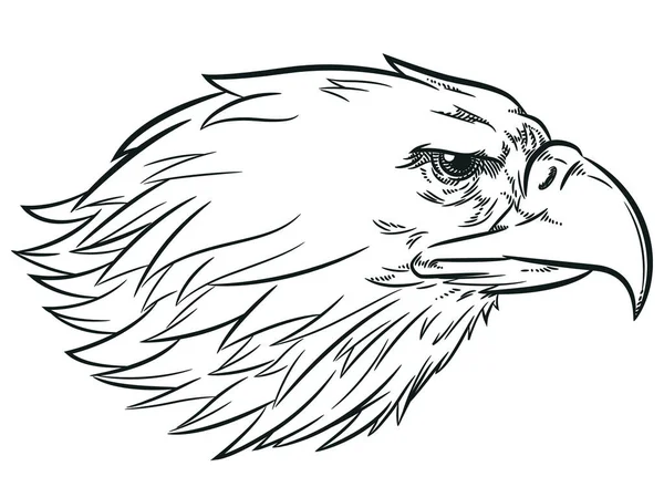 Sketch Eagle Head Vista Lateral Del Perfil — Vector de stock