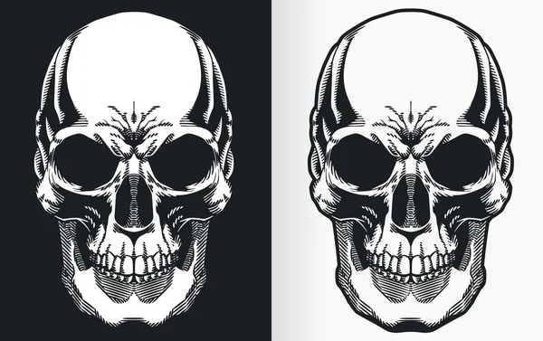 Silhouette Contour Human Skull Front View Perspective — Vetor de Stock
