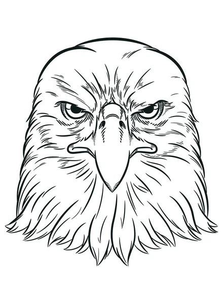 Skiss American Eagle Predator Fågelansikte Royaltyfria illustrationer