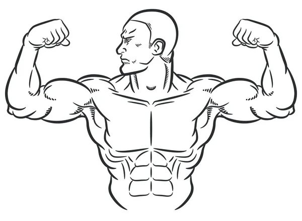 Sketch Bodybuilder Κάμψη Ογκώδη Μπράτσα Μύες Royalty Free Διανύσματα Αρχείου