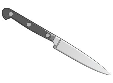 İnsan vücudunun iç organlarını çiz