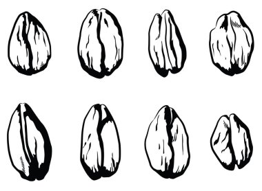 Siluet Yulaf Taneleri Yulaf Ezmesi Gevreği Tohumları
