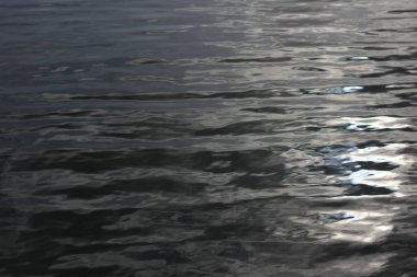 blurred water background with shades of blue