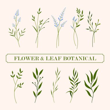 çiçek ve yeşil yaprak botanik çizimi.