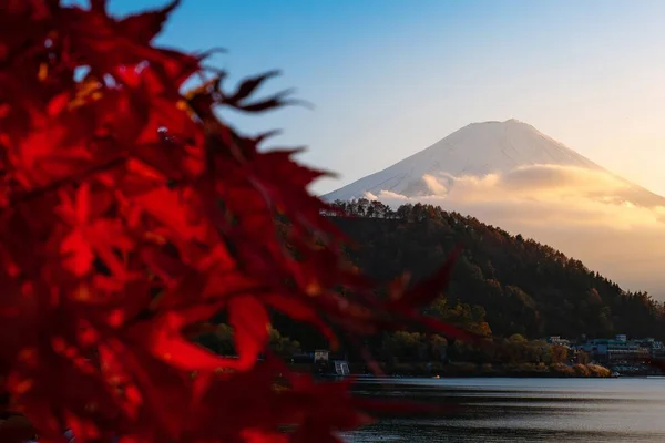 夕阳西下的川口湖 可以俯瞰富士山和日本红枫叶的壮丽景色 — 图库照片