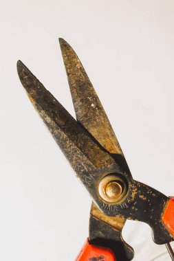 rusty scissors secateurs, warts with rust, remover