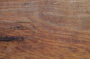 wooden background old board with mold