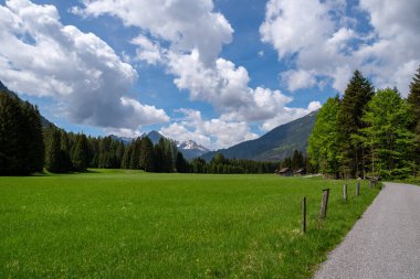 Mavi gökyüzünün altındaki yemyeşil çayırlara, beyaz bulutlara, resmin sağ ucundaki patikaya muhteşem bir manzara hakim.
