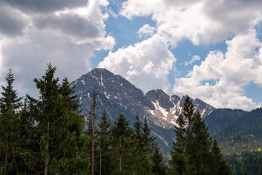 View over green fir trees to Thaneller mountain with white clouds and blue sky