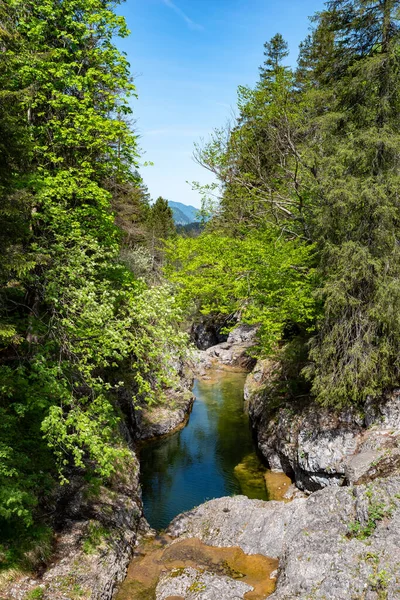 Utsikt Archbach Ravinen Över Ett Naturligt Avrinningsområde Framkant Stuiben Vattenfall — Stockfoto