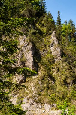 Archbach Vadisi 'nin dik yamaçlarının görüntüsü