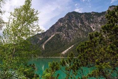 View through bushes over the calmly lying Heiterwanger lake, Heiterwang, Austria clipart