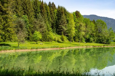 Güneş ışığındaki küçük, sessiz bir gölet üzerinde harika bir manzara. Orman su yüzeyine yansıyor, Reutte, Avusturya.