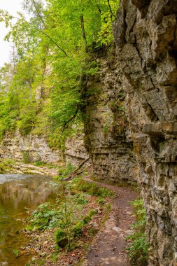 Kara Orman 'da Wutach vadisinde dik kayalıklar boyunca yürüyüş yapmak.