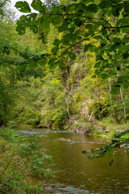 Wutach Vadisi 'ndeki Wutach Nehri' nin üzerinden Almanya 'daki Kara Orman' a bakın.
