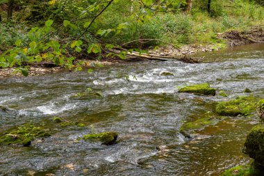 Almanya 'nın Kara Orman kentindeki Wutach nehrine bakın.