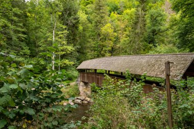 Wutach nehrinin üzerindeki tahta köprüyü kapsıyor. Almanya 'da Kara Orman' da 3 Boğaz yürüyüş parkurunda.
