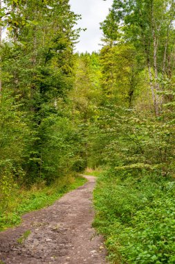 Wutach Vadisi 'nden geçen yol, Almanya' nın Kara Orman 'daki 3 Boğaz Yürüyüş Yolu' nun bir geçidi.