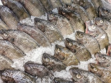 Bir süpermarkette satılık buzla çevrili taze balıkların detaylı görüntüsü. Ticari gıda fotoğrafçılığı....