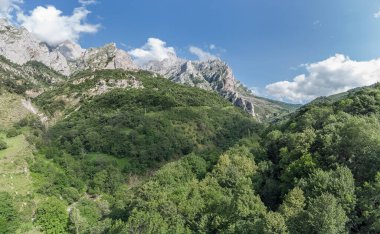 Leon Spain - 07 04 2021: Picos de Europa 'da veya Avrupa' nın tepelerinde 20 km 'ye kadar uzanan ve İspanya' nın kuzeyindeki Cantabrian Dağları 'nın bir kısmını oluşturan bir sıradağ manzarası