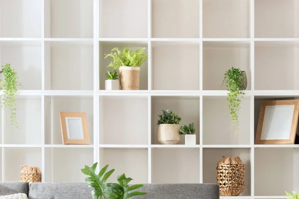 Modernes Minimalistisches Wohnzimmerdesign Mit Weißem Quadratischen Bücherregal Grauem Sofa Und — Stockfoto