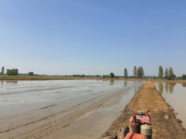 Traktör Tayland kırsalındaki pirinç tarlasında çalışıyor..