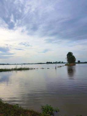 Akşam vakti Tayland kırsalında nehir ve gökyüzü