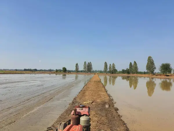 Traktör Tayland kırsalındaki pirinç tarlasında çalışıyor..