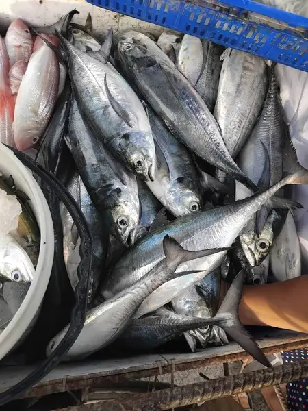 Fresh fish at the fish market,Thailand, Southeast Asia.