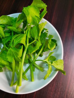Tahta masadaki beyaz tabakta taze kişniş yaprakları.