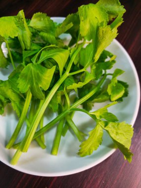 Tahta bir masada beyaz bir tabakta taze kereviz yaprakları..