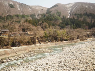 Turkuaz gölünün yanındaki ağaçlarda pembe kiraz çiçekleri açar..