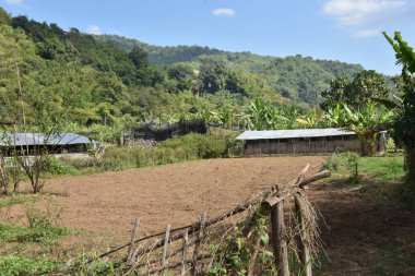 Tarım arazisi, basit yapılar ve arka planda açık mavi gökyüzünün altında yoğun ormanlık tepelerle dolu yemyeşil bir vadide yuva yapmış bir kırsal çiftlik, kırsal yaşamın özünü yakalıyor..