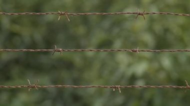 Eski ve oksitlenmiş dikenli tel örgüler.