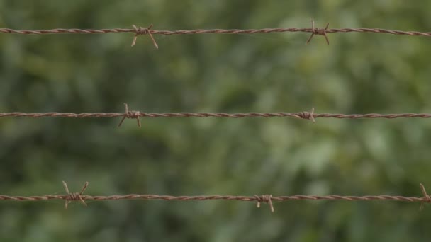 带有刺的旧的和氧化的铁丝网围栏 — 图库视频影像