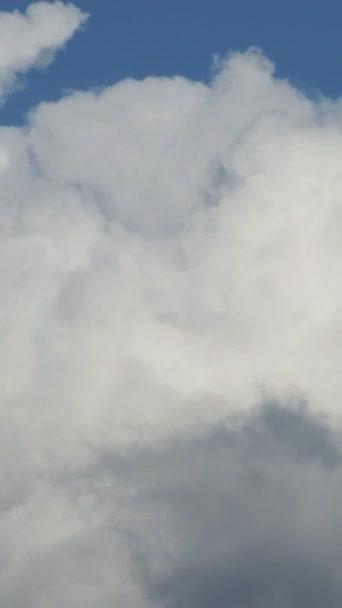 Nuvens Num Céu Azul Time Lapse Vertical — Vídeo de Stock