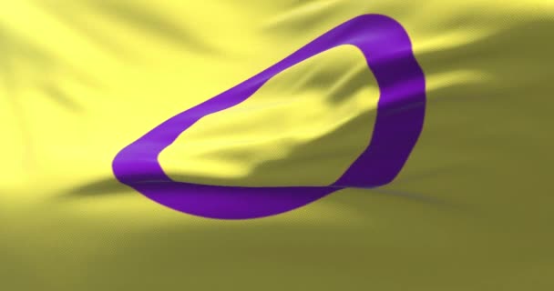 Bendera Kebanggaan Interseks Pengulangan — Stok Video