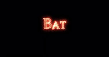 Bat, ancient egyptian goddess, written with fire. Loop