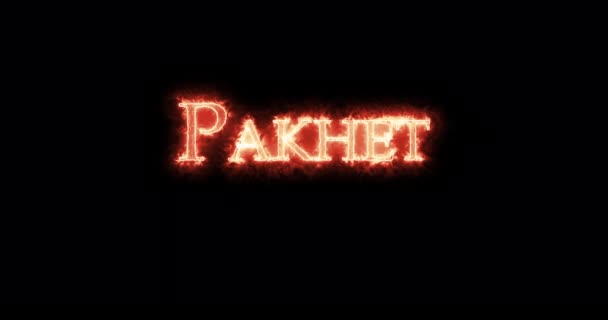 Pakhet Egyptian Goddess War Written Fire Loop — Vídeo de stock