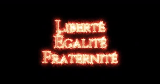 Libert Galit Bratrstvo Francouzská Revoluce Napsaná Ohněm Smyčka — Stock video