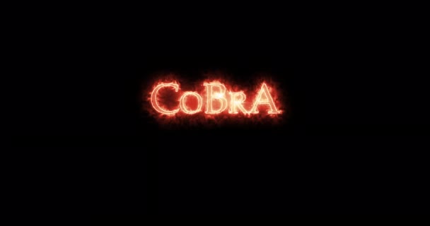 火で書かれたコブラ ループ — ストック動画