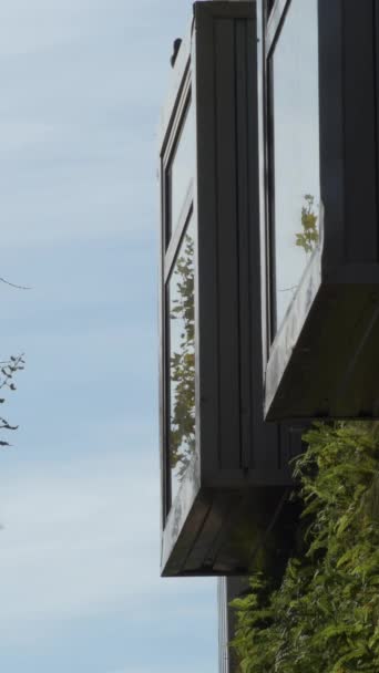 晴れた日に植生の壁と建物の金属窓 — ストック動画