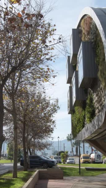 金属窓や植生の壁と建物 4K垂直 — ストック動画