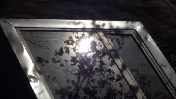 Sol Træblade Afspejles Metalvindue – Stock-video