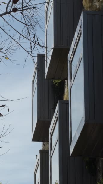 植生の壁と建物の金属窓 緑の環境 4K垂直 — ストック動画
