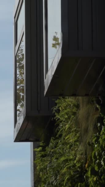 植生の壁と建物の金属窓 4K垂直 — ストック動画