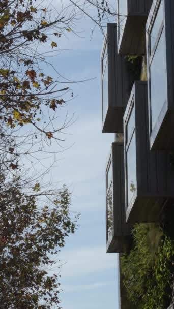 Metal Windows Building Vegetation Wall Vertical — ストック動画