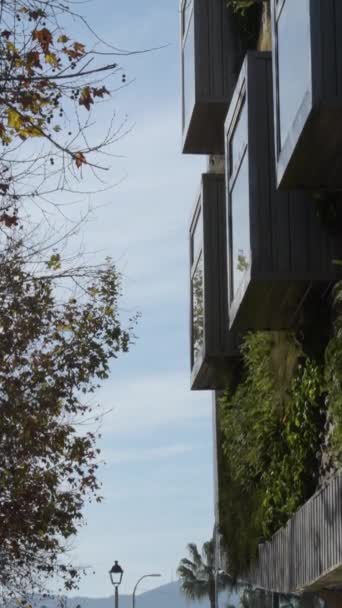 Metal Windows Building Vegetation Wall Vertical Tilt — 비디오
