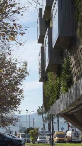 金属窓や植生の壁には晴れた日の建物 4K垂直 — ストック動画