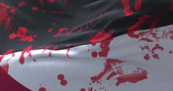 Vlag Van Palestina Met Bloed Woorden Geschreven Lijn — Stockvideo